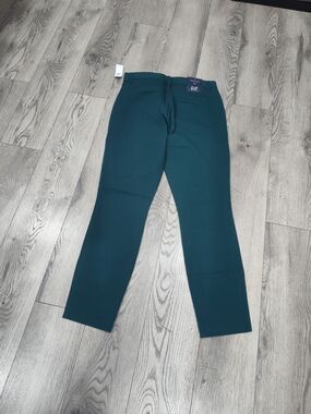 GAP Men's Teal Dress Pants